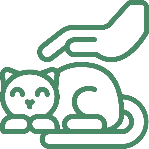 Funerale A Quattro Zampe Battito Animale 3