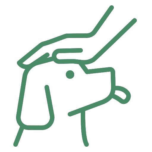 Funerale A Quattro Zampe Battito Animale 2