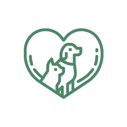 Funerale A Quattro Zampe Battito Animale 1