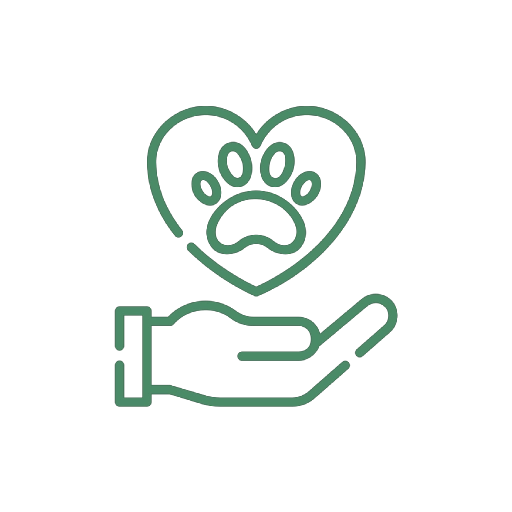 Funerale A Quattro Zampe Battito Animale 1