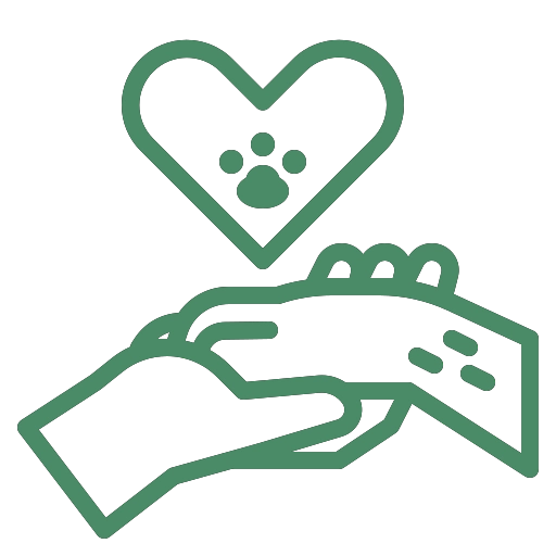 Funerale A Quattro Zampe Battito Animale 1